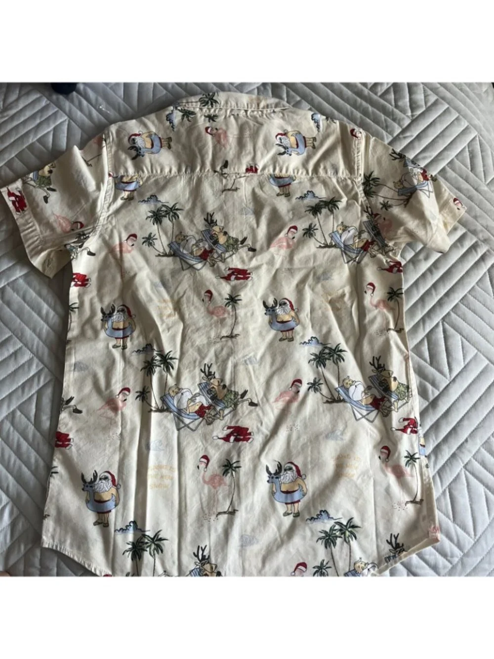 Cactus Boys brand new